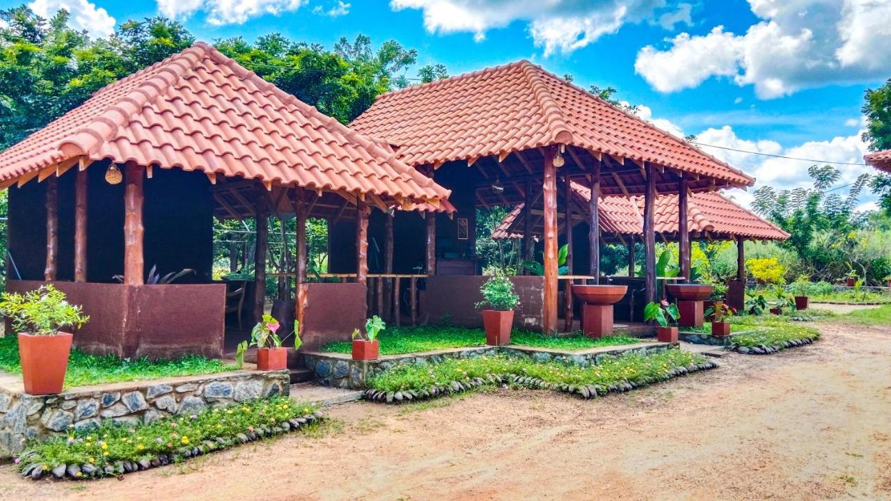 Ceylon Amigos Eco Resort Sigiriya Dış mekan fotoğraf