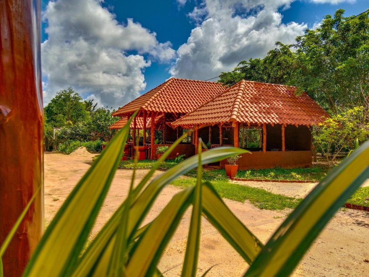 Ceylon Amigos Eco Resort Sigiriya Dış mekan fotoğraf