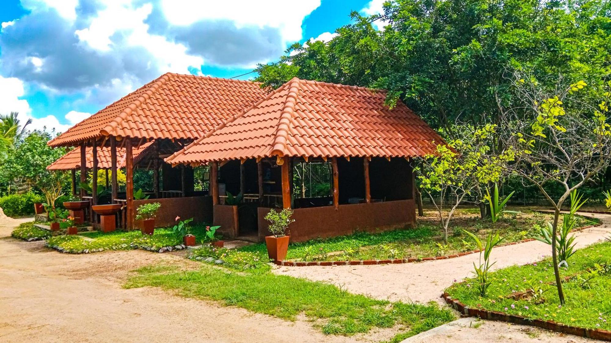 Ceylon Amigos Eco Resort Sigiriya Dış mekan fotoğraf