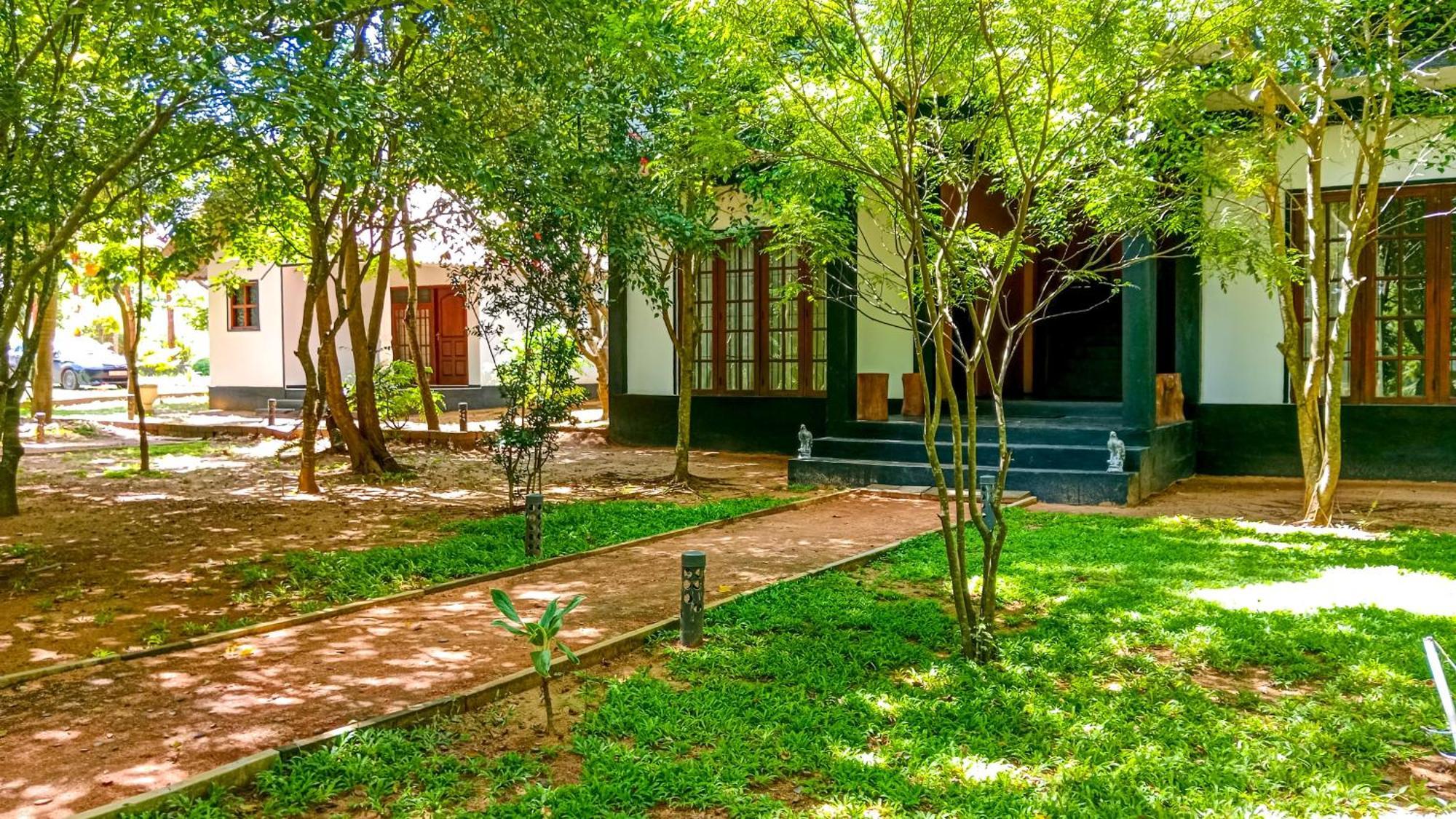 Ceylon Amigos Eco Resort Sigiriya Dış mekan fotoğraf