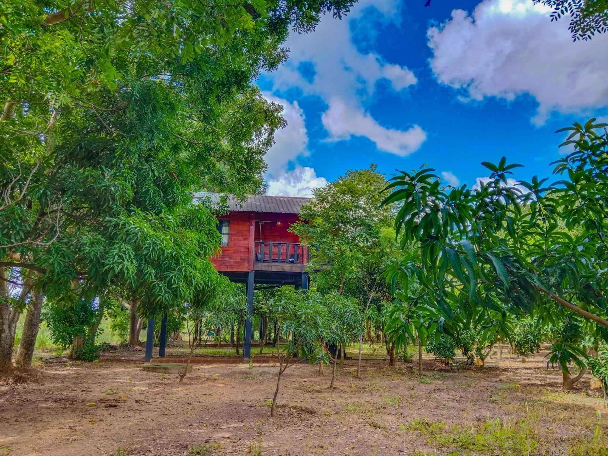 Ceylon Amigos Eco Resort Sigiriya Dış mekan fotoğraf