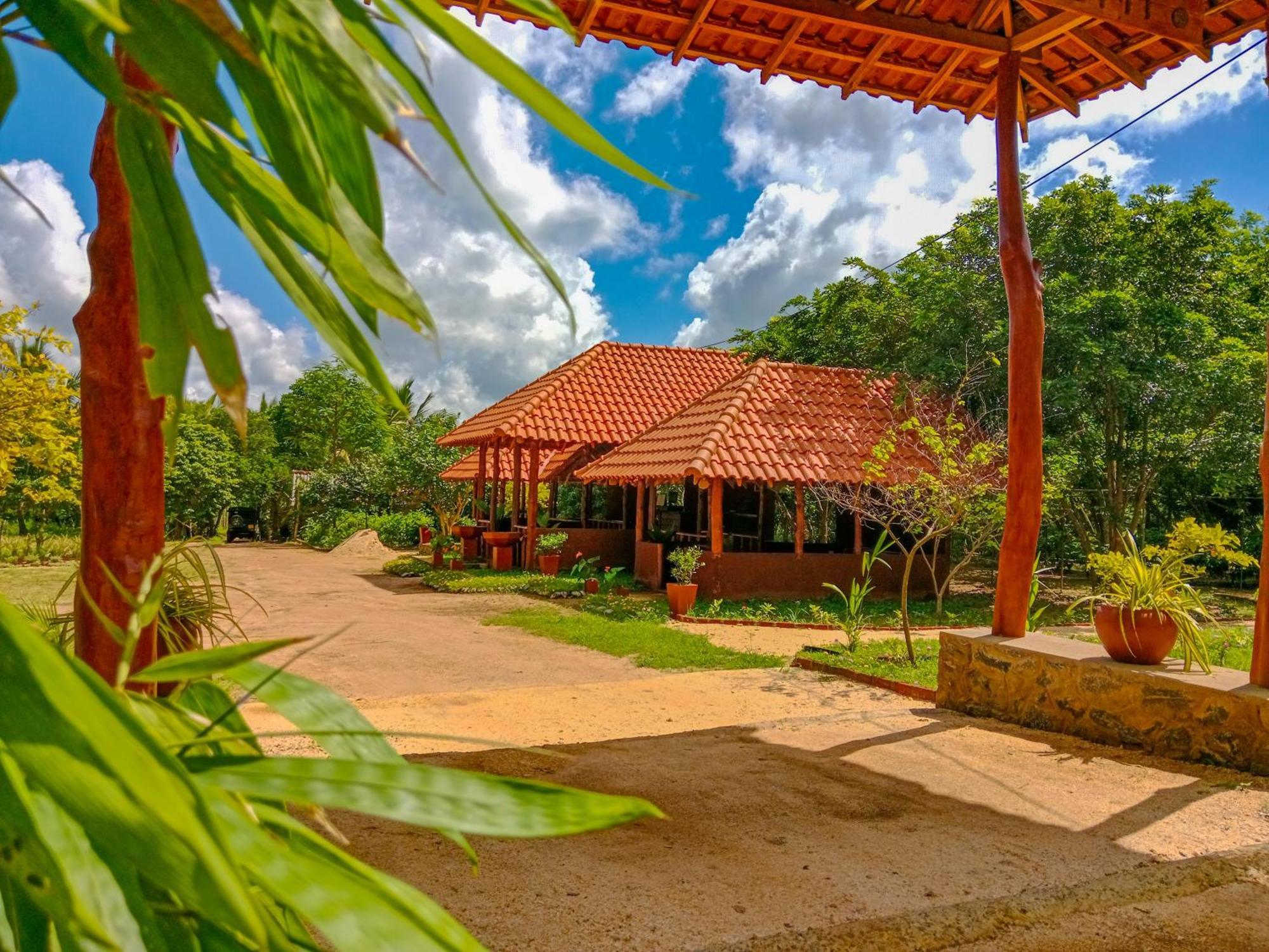 Ceylon Amigos Eco Resort Sigiriya Dış mekan fotoğraf