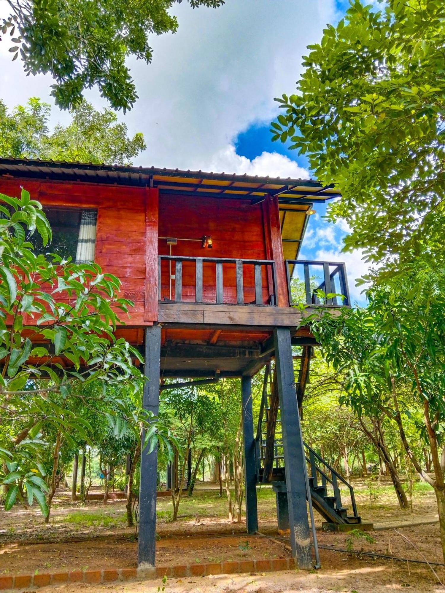 Ceylon Amigos Eco Resort Sigiriya Dış mekan fotoğraf