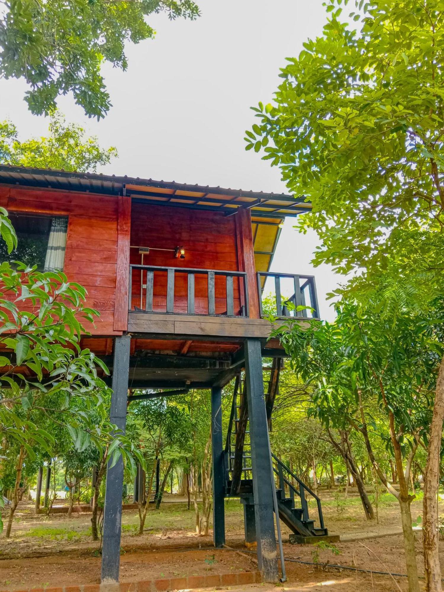 Ceylon Amigos Eco Resort Sigiriya Dış mekan fotoğraf