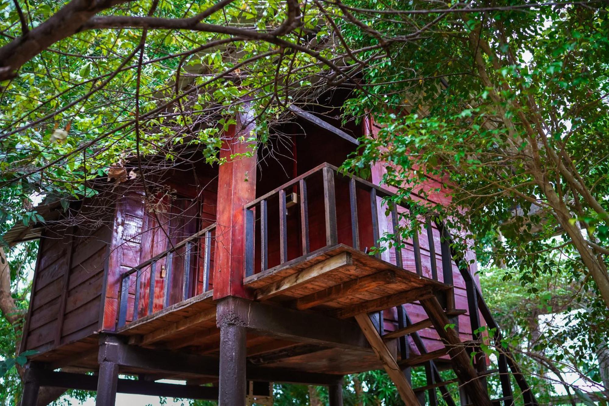 Ceylon Amigos Eco Resort Sigiriya Dış mekan fotoğraf