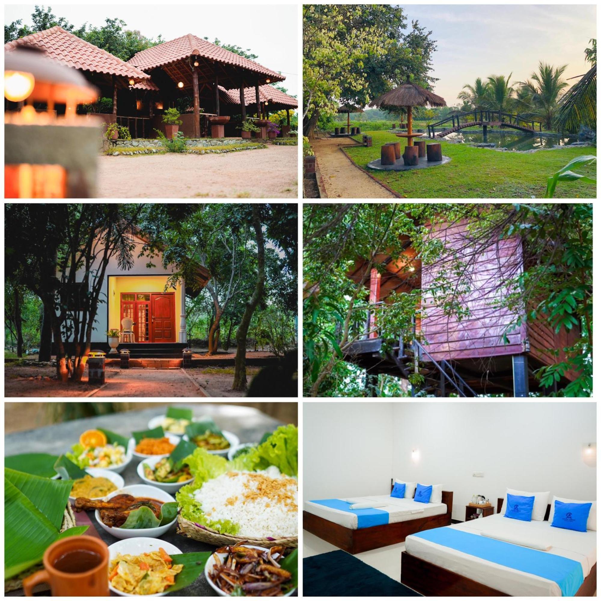 Ceylon Amigos Eco Resort Sigiriya Dış mekan fotoğraf